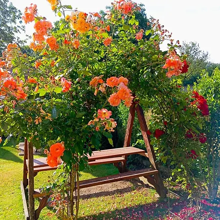 з двома спальнями і кухнею *